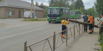 Обрыв проводов устраняют в Великих Луках - 2025-07-01 16:32:00 - 1