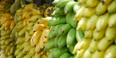 Бананы вошли в перечень отечественной сельхозпродукции - 2025-07-07 19:05:00 - 1