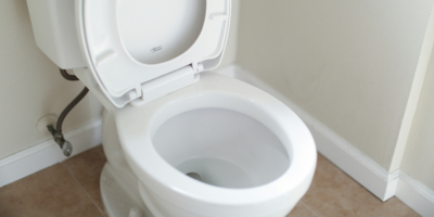 Россиян будут обучать правильному использованию туалета - 2025-11-04 19:05:00 - 1