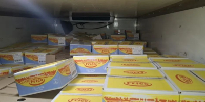 Пять тонн санкционного сыра обнаружили таможенники в Невельском районе - 2025-11-06 16:35:00 - 1