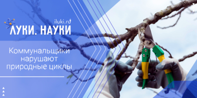 Люди зря вмешиваются в дела природы? - 2025-11-13 17:35:00 - 1