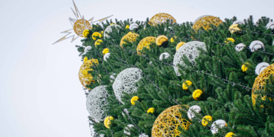 Россияне почти втрое снизили траты на новогодние елки - 2025-11-19 20:05:00 - 1