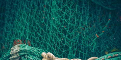 Двух браконьеров из Великих Лук задержали с поличным - 2025-11-28 12:05:00 - 1