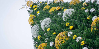 Открытие елки в Великих Луках пройдет 21 декабря - 2025-12-03 11:05:00 - 1