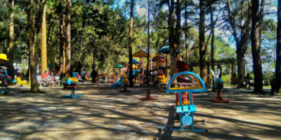 Итоги детской оздоровительной кампании подвели в Псковской области - 2025-12-08 10:35:00 - 1