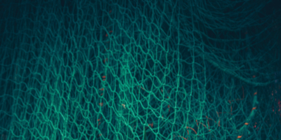 В Гдовском районе поймали браконьера - 2025-12-15 14:35:00 - 1