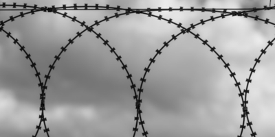 Курьера мошенников заключили под стражу в Острове - 2025-12-19 16:05:00 - 1