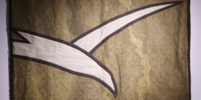 Фрагмент легендарного занавеса с эмблемой «Чайка» представлен в псковском музее - 2025-12-23 11:35:00 - 1