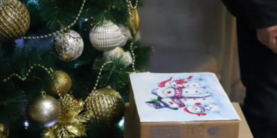 «Новогоднее чудо» создают псковские полицейские - 2025-12-25 11:05:00 - 1