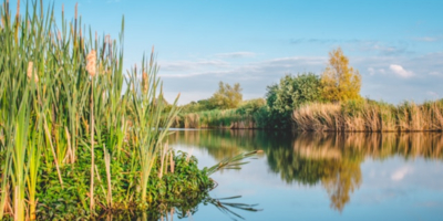 Прокуратура обеспечила доступ к озеру Лутовское в Пском районе - 2025-12-28 11:05:00 - 1