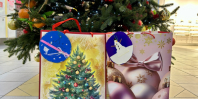 Великолукские полицейские и общественники провели «Ёлку желаний» - 2025-12-26 17:35:00 - 1