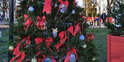 Фотографии Великих Лук украсят «Аллея муниципалитетов» в Пскове - 2025-12-29 11:35:00 - 1