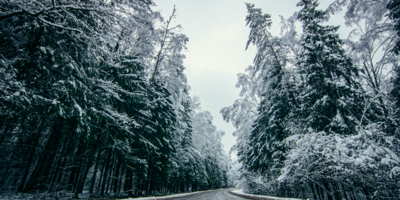 Энергетики работают в особом режиме из-за непогоды в регионе - 2026-01-04 12:05:00 - 1