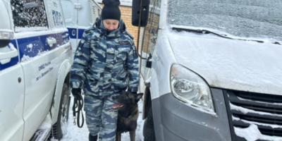 Акция «Студенческий десант» продолжается в Великих Луках - 2026-01-22 11:05:00 - 1