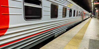 Рыбки, хорьки, хамелеоны, попугаи и муравьи тоже бывают пассажирами РЖД - 2026-01-30 16:05:00 - 1