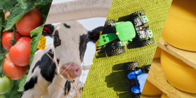 Ставка на стабильность: как ГК «Кабош» работает в условиях меняющегося рынка - 2026-01-31 11:35:00 - 1