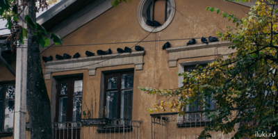 В России изменились правила выдачи семейной ипотеки - 2026-02-02 18:35:00 - 1