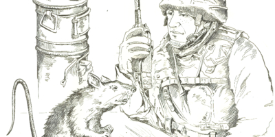 Выставка «Четвероногие герои СВО» откроется в Изборске - 2026-02-04 11:35:00 - 1