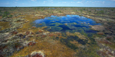 Полистовский заповедник стал победителем конкурса Президентского фона природы - 2026-02-12 16:05:00 - 1