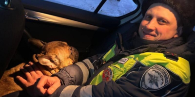 В Пермском крае полицейские спасли бульдога - 2026-02-15 13:05:00 - 1