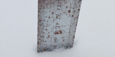 Высота снежного покрова в Великих Луках достигла 68 сантиметров - 2026-02-16 13:35:00 - 1