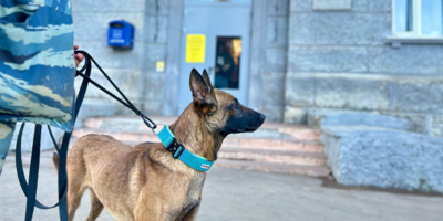 Антинаркотический рейд прошел в великолукских общежитиях - 2026-03-19 12:05:00 - 1