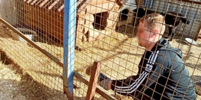 Осужденные ИЦ-1 помогли в благоустройстве приюта для животных в Великих Луках - 2026-03-25 15:35:00 - 1