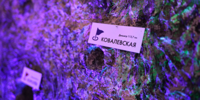 Музей Софьи Ковалевской приглашает детей на космическую программу - 2026-03-30 17:35:00 - 1