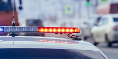 Росгвардия задержала подозреваемого в краже в Великих Луках - 2026-03-30 15:35:00 - 1