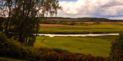 В «Михайловском» стартовал конкурс к юбилею Николая Языкова - 2026-04-01 16:05:00 - 1