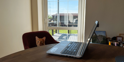 Информацию о введении ограничений на домашний интернет опроверг «Ростелеком» - 2026-04-01 18:35:00 - 1