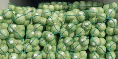 Через Псковскую область ввезли почти 430 млн цветов за месяц - 2026-04-03 17:05:00 - 1