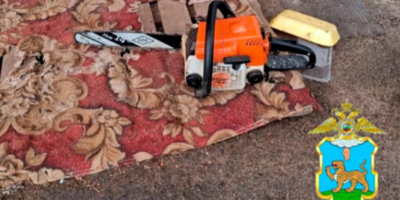 Житель Пустошкинского района незаконно вырубил деревья на 850 тысяч рублей - 2026-04-09 15:05:00 - 1