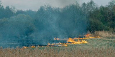 В 16 регионах введён особый противопожарный режим - 2026-04-12 20:05:00 - 1