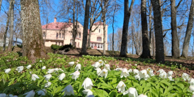 День подснежника отметят в усадьбе Софьи Ковалевской - 2026-04-15 09:05:00 - 1