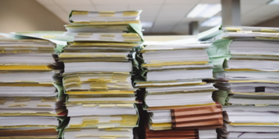 Полистовский заповедник снова проведет акцию «Бумажный бум» - 2026-04-15 10:35:00 - 1