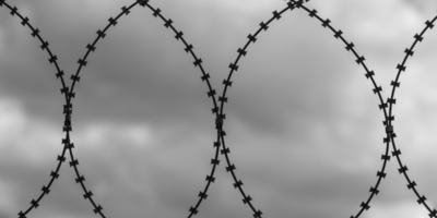 В колонию особого режима отправили великолучанина за серию краж - 2026-04-15 11:05:00 - 1