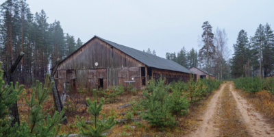 В Псковской области упразднят одну деревню, а другую присоединят к поселку - 2026-04-28 10:35:00 - 1