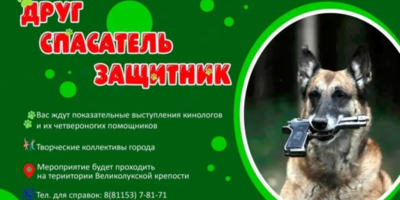 Кинологи и их питомцы выступят для великолучан - 2026-06-16 15:35:00 - 1