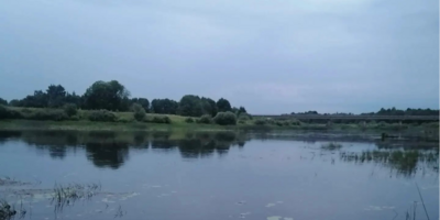 В Островском районе утонул мужчина - 2026-07-28 11:35:00 - 1