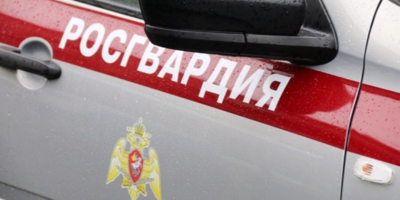Великолучанина, пытавшегося обокрасть магазин, задержала Росгвардия - 2026-09-11 11:35:00 - 1