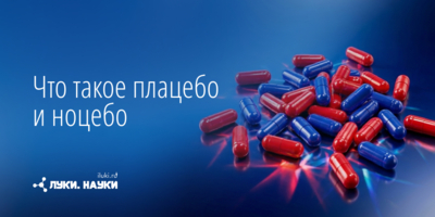 Два брата влияют на нашу реакцию на лекарства - 2026-10-15 17:35:00 - 1