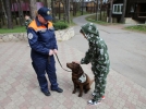 В Псковскую область прибыли участники международного патриотического похода - 2022-05-05 09:35:00 - 3