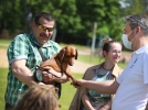 Благотворительный фестиваль в помощь бездомным животным прошёл в Порхове - 2021-06-06 19:00:00 - 16