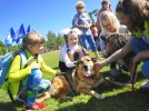 Благотворительный фестиваль в помощь бездомным животным прошёл в Порхове - 2021-06-06 19:00:00 - 4