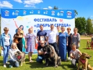 Благотворительный фестиваль в помощь бездомным животным прошёл в Порхове - 2021-06-06 19:00:00 - 17