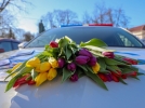 В Пскове проходит акция «Цветы для автоледи» - 2024-03-07 13:35:00 - 3