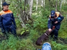 Спасатели нашли заблудившуюся семейную пару в Палкинском районе - 2023-08-03 16:05:00 - 4