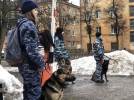 Эстафету акции «Студенческий десант» приняли в Великих Луках - 2023-01-20 09:35:00 - 9