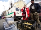 Весенняя ярмарка вернулась в Великие Луки спустя два года - 2022-04-30 15:00:00 - 22
